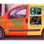 Pet Taksi – Pet Servis – Pet Taxi